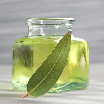 6  Pet-Safe Essential Oils