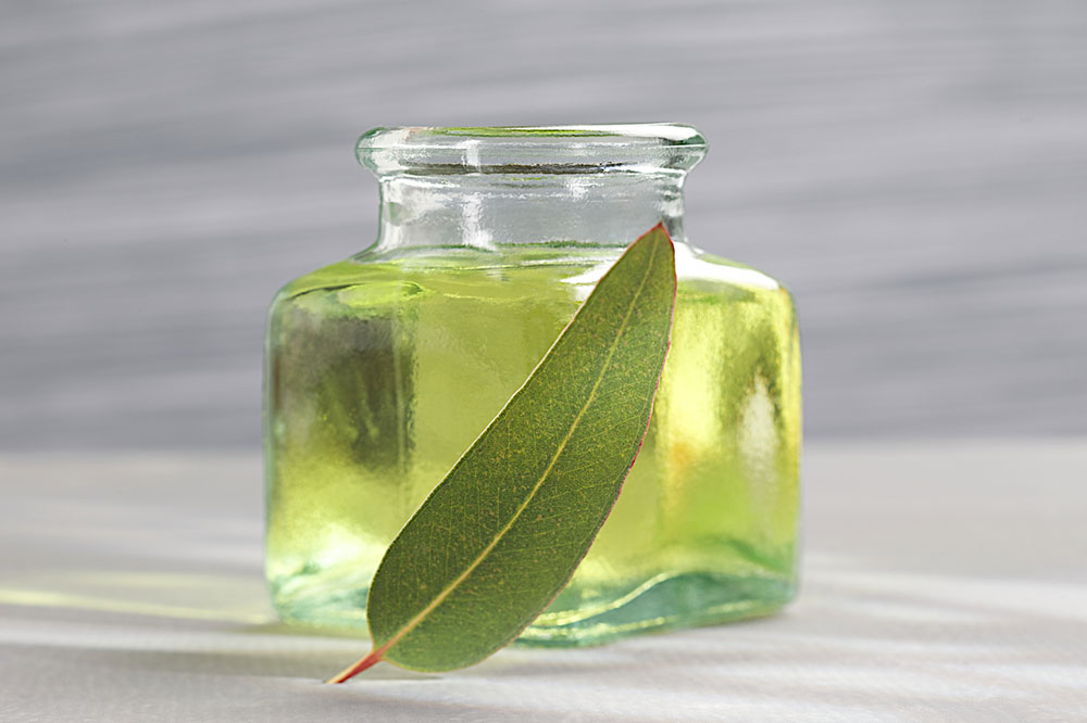 6 Pet-Safe Essential Oils